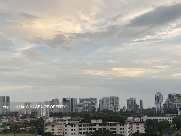 Blk 28 Cassia Crescent (Geylang), HDB 4 Rooms #330328931